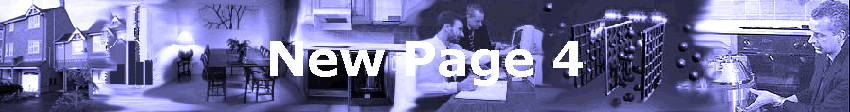 New Page 4